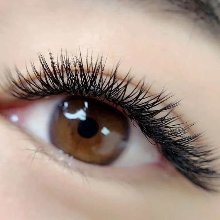 Volume lash extensions close-up