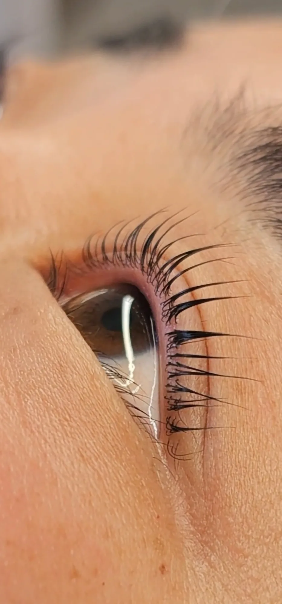Lifted lashes close-up